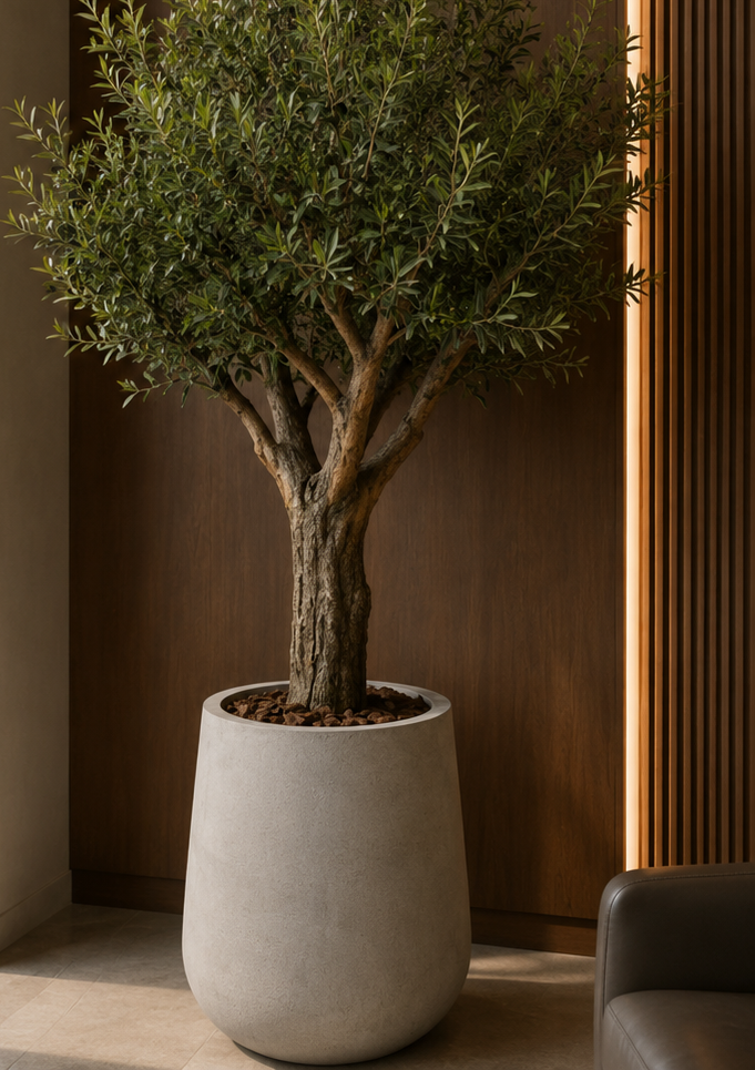 Artificial Olive tree, Private Villa, Dubai
