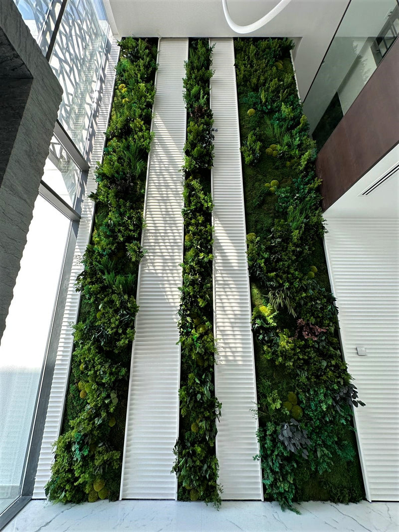 Preserved Green Wall - Private Villa, Dubai Hills