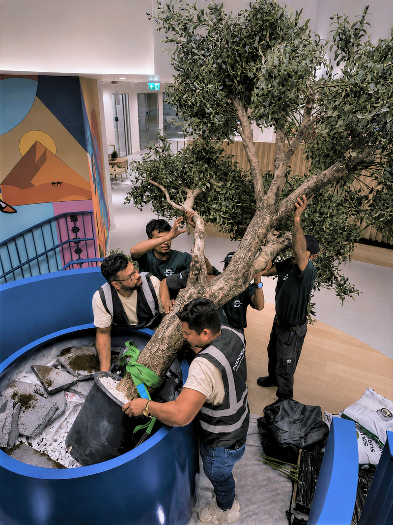 Artificial Olive, Nestle Head Office, Expo City, Dubai