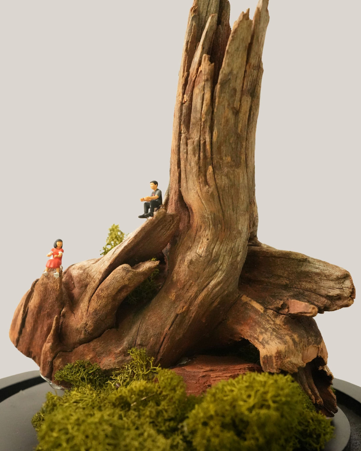 Whispering Woods