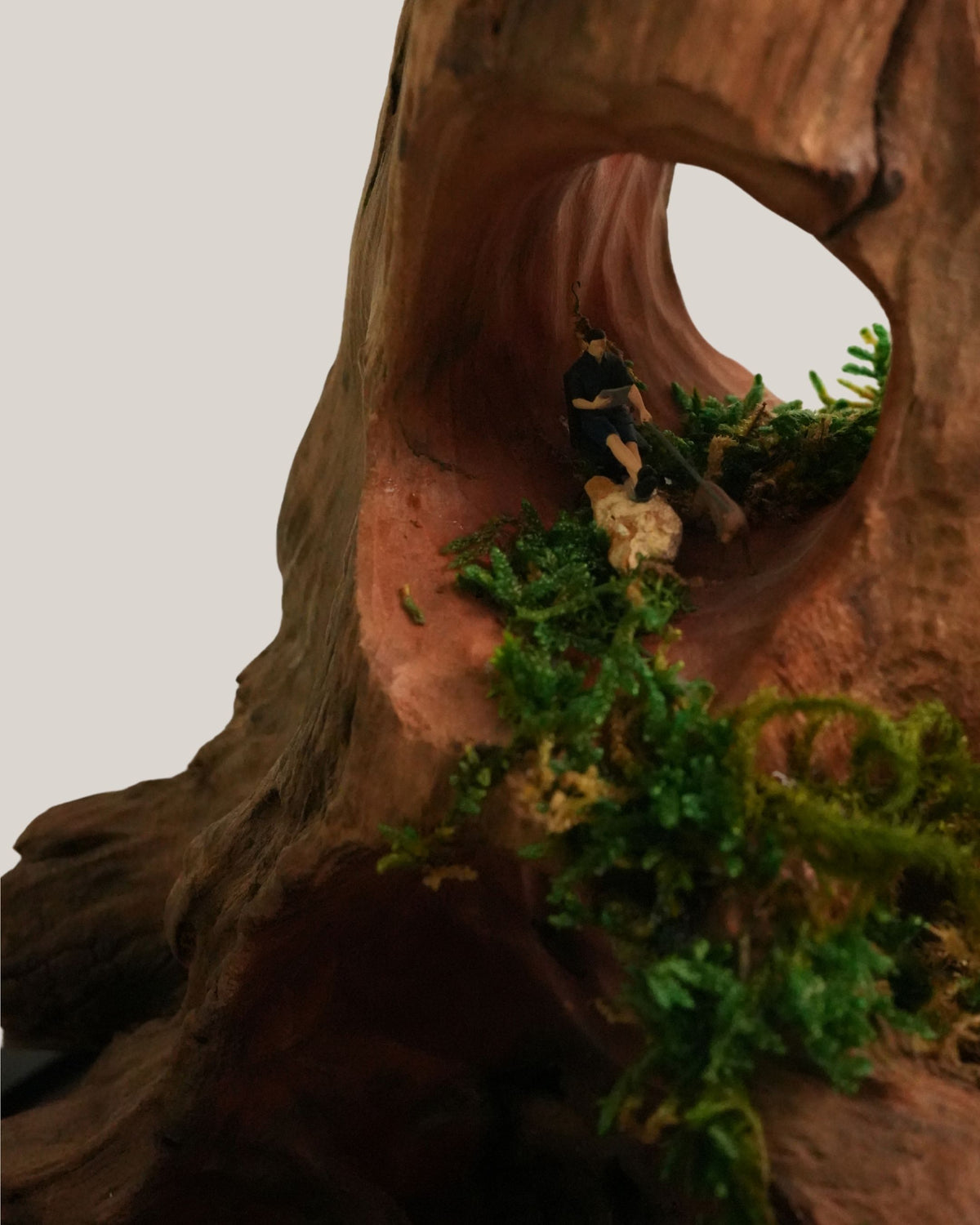 Woodland Passage