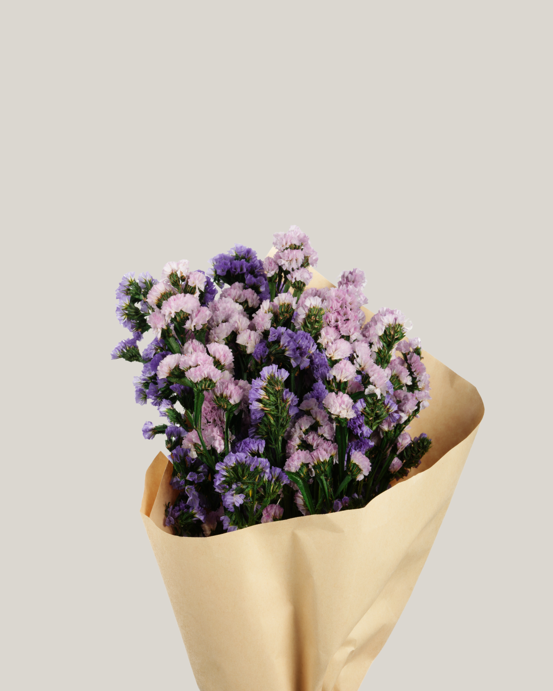 Violet Whisper