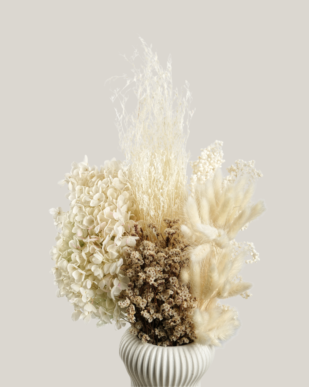 Baby’s Breath