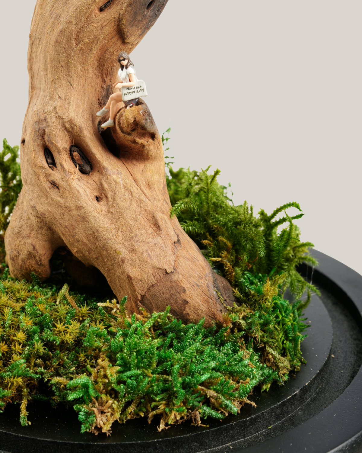 Driftwood Sentinel
