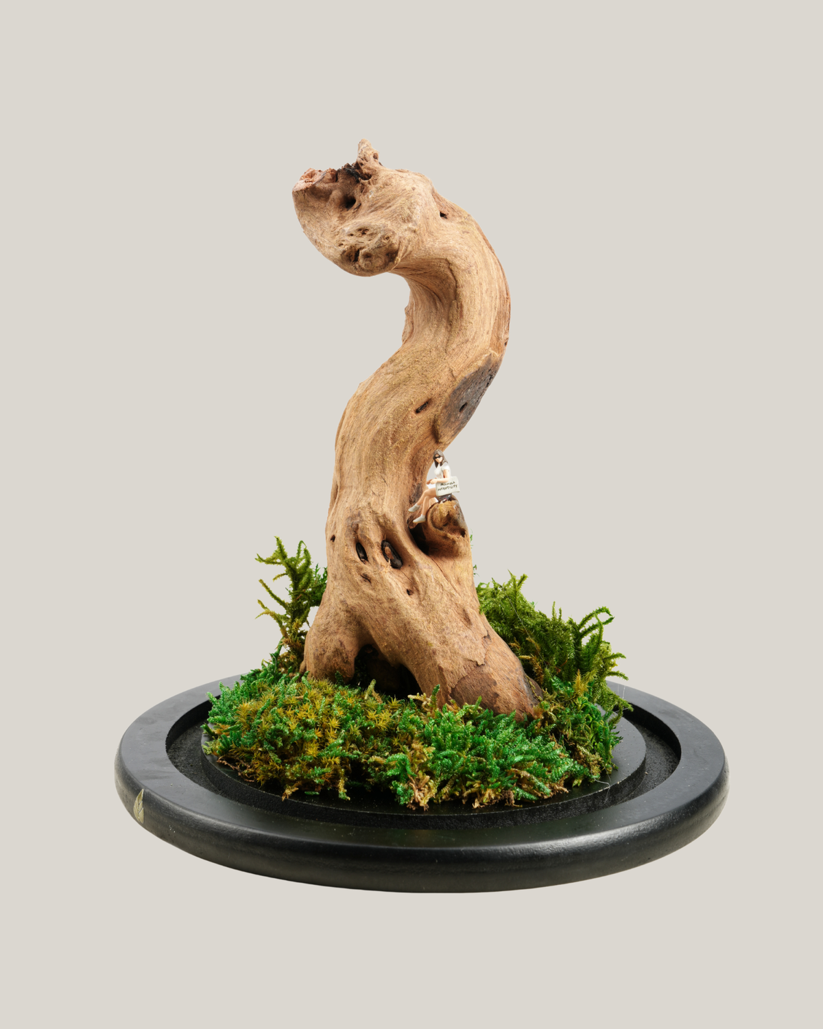 Driftwood Sentinel