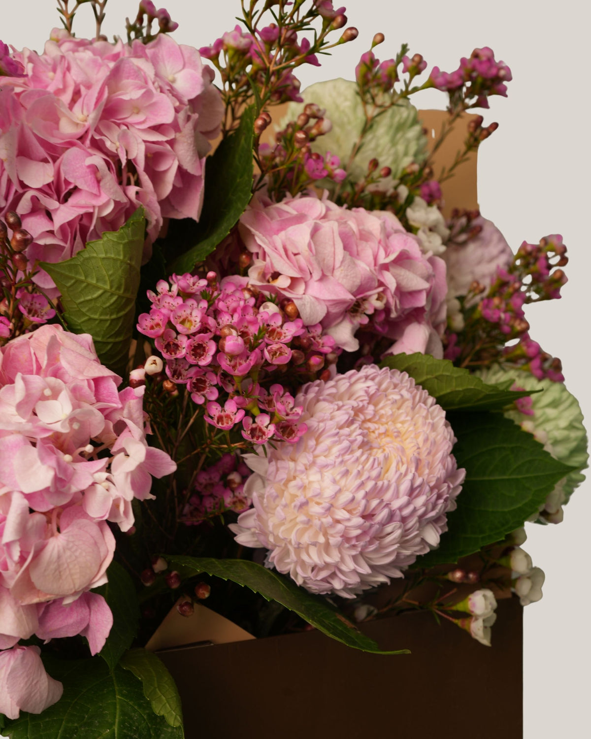 Botanical Harmony