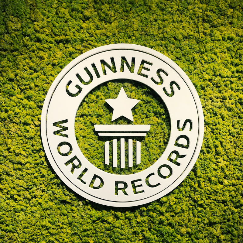 Moss Wall - Guinness World Records, Media City
