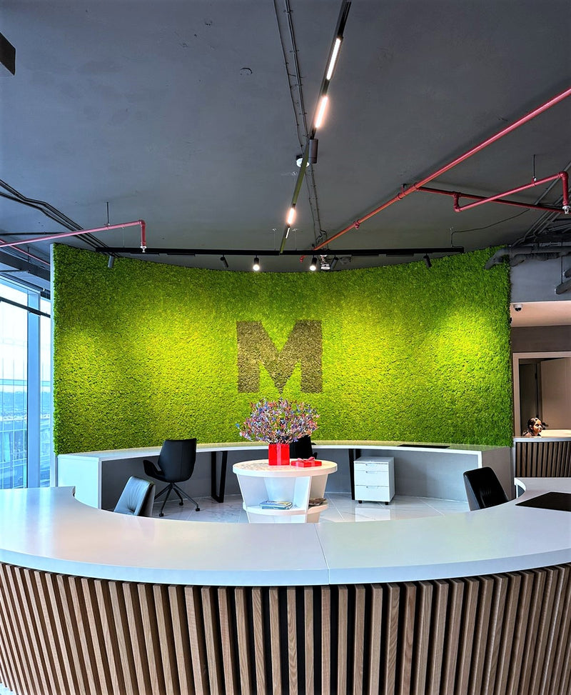 Moss Wall - M by Media, D3, Dubai.jpeg