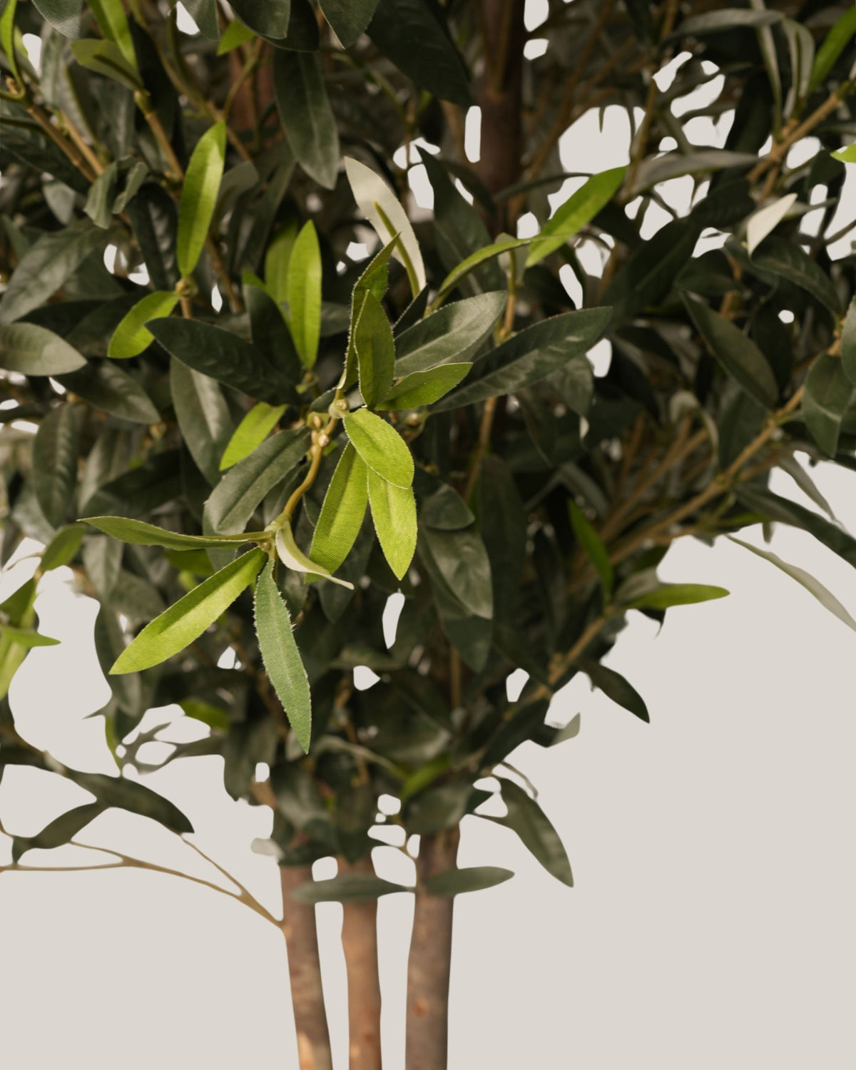 Artificial Olive Tree with Natural Trunk Multi Stem