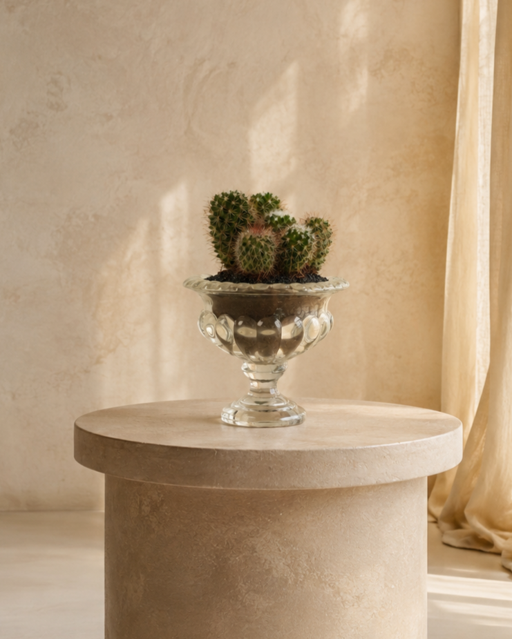 Cactus Arrangement in Glass Vase