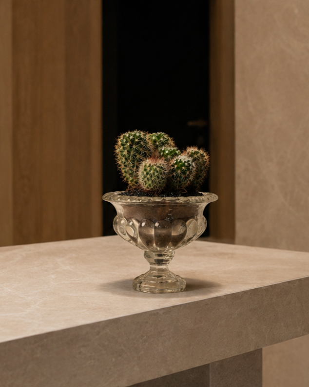 Cactus Arrangement in Glass Vase