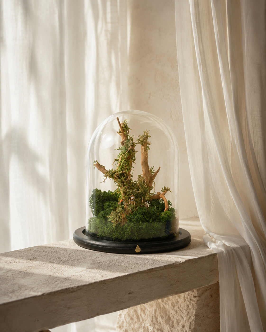 Woodland Expedition