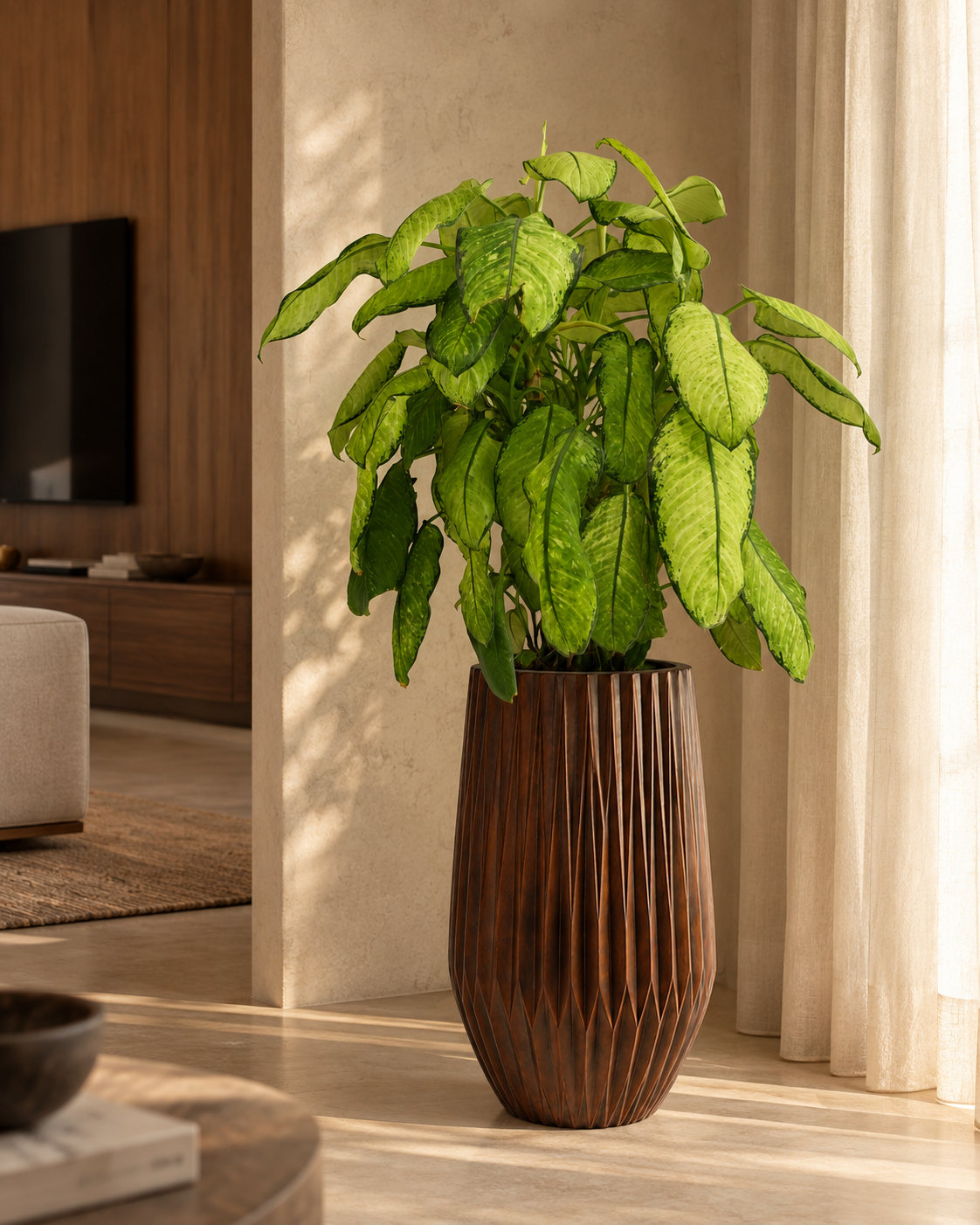 Dieffenbachia Variegated