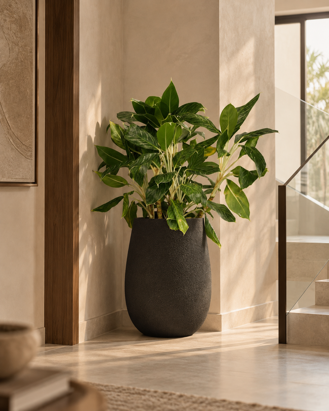 Aglaonema Key Lime