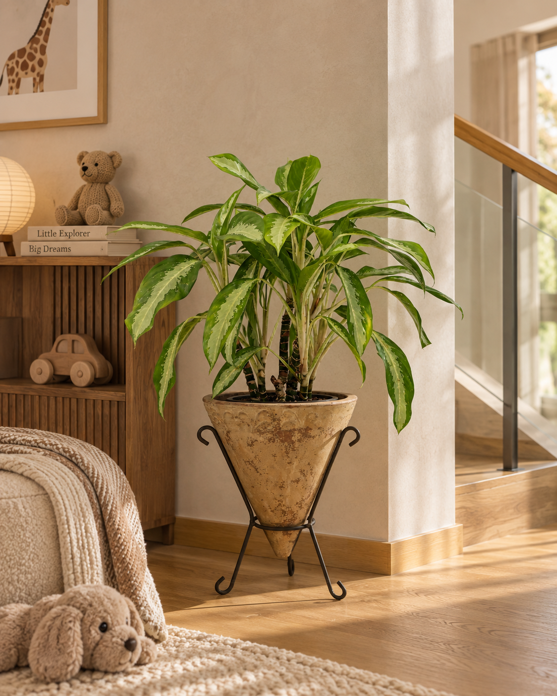 Aglaonema Silver Moon