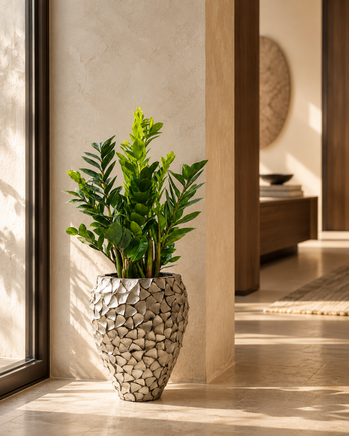 Zamioculcas Zamiifolia