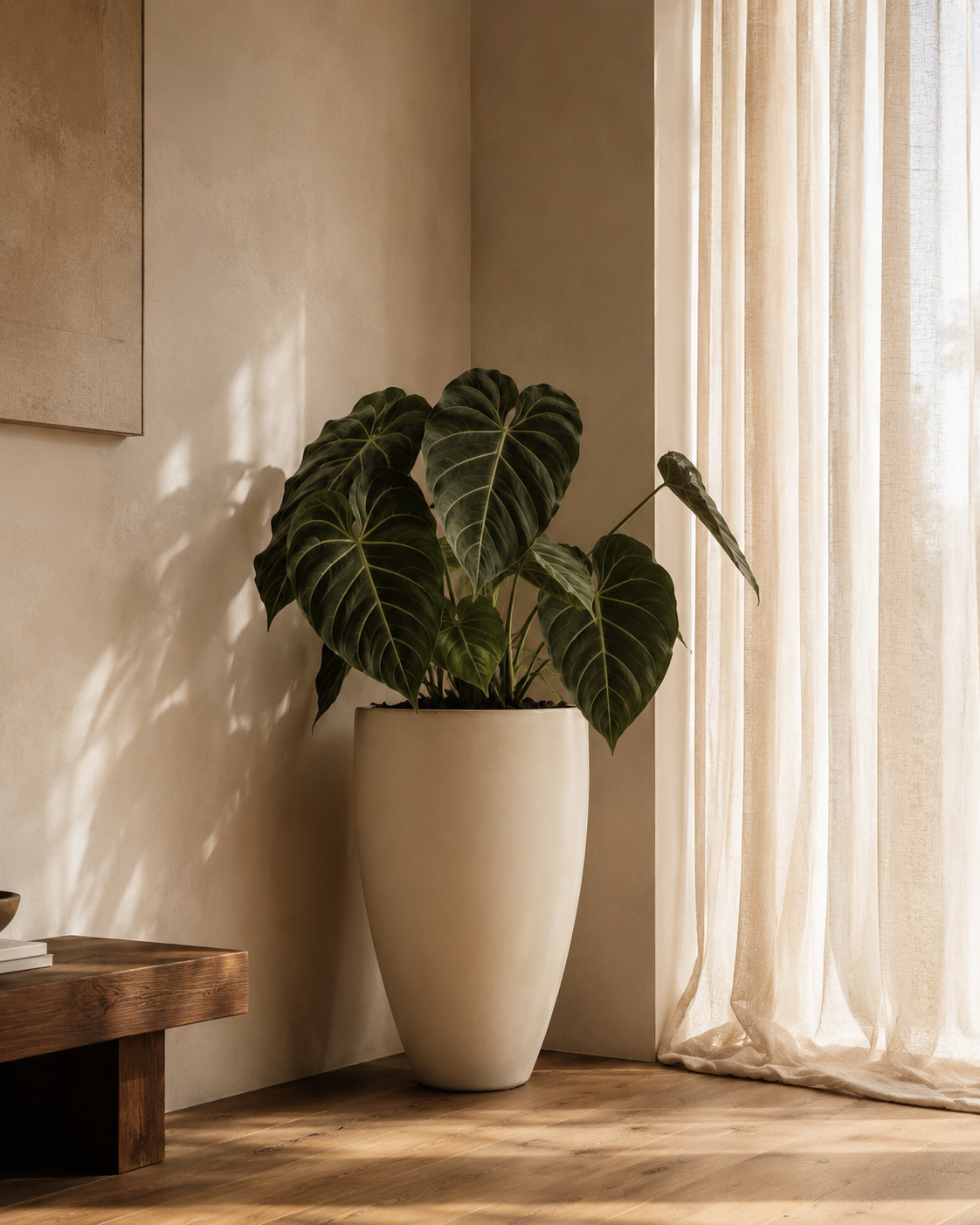 Carrara White