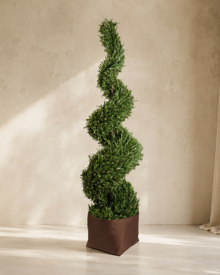 Topiary Rosemary HL Spiral B