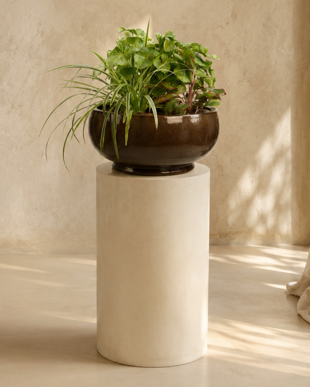 Mixed Plants Arrangement with Bowl Low Macchiato