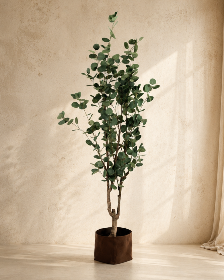 NTT Eucalyptus Tree YF