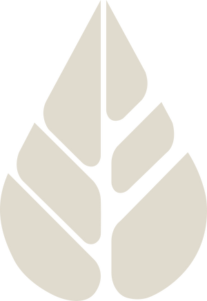 Folivana Store