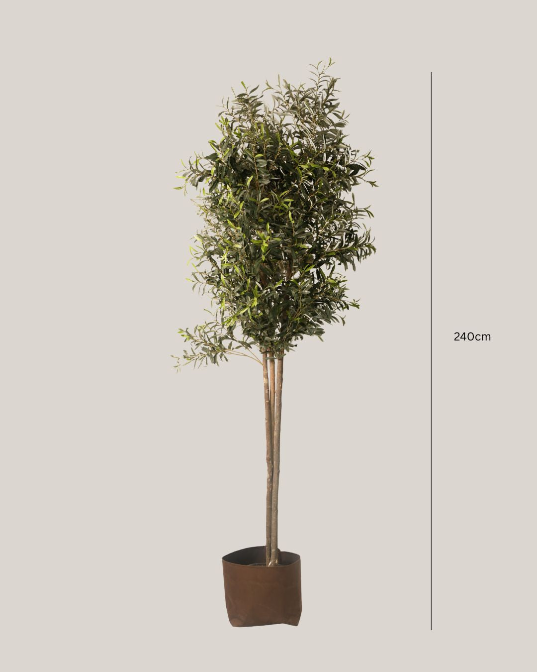 Artificial Olive Tree with Natural Trunk Multi Stem