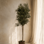 Artificial Olive Tree with Natural Trunk Multi Stem - Folivana Store