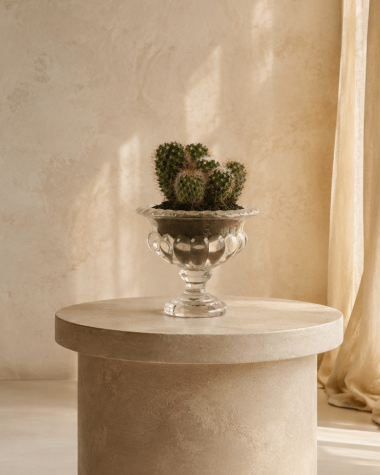 Cactus Arrangement in Glass Vase - Folivana Store