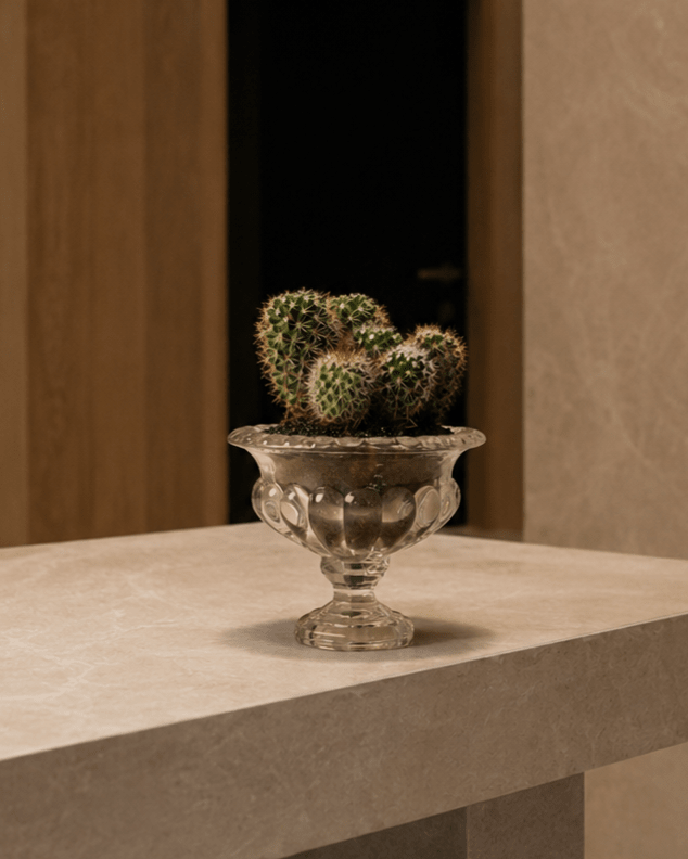 Cactus Arrangement in Glass Vase - Folivana Store