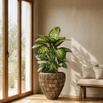Coddler MOP Brown - Folivana Store