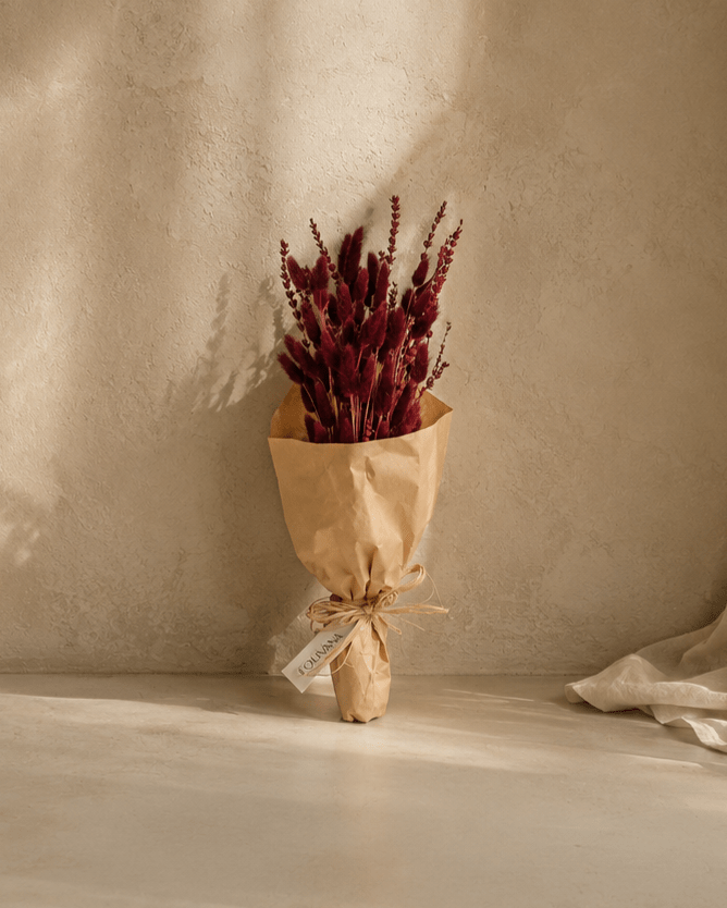 Cotton Cloud - Folivana Store