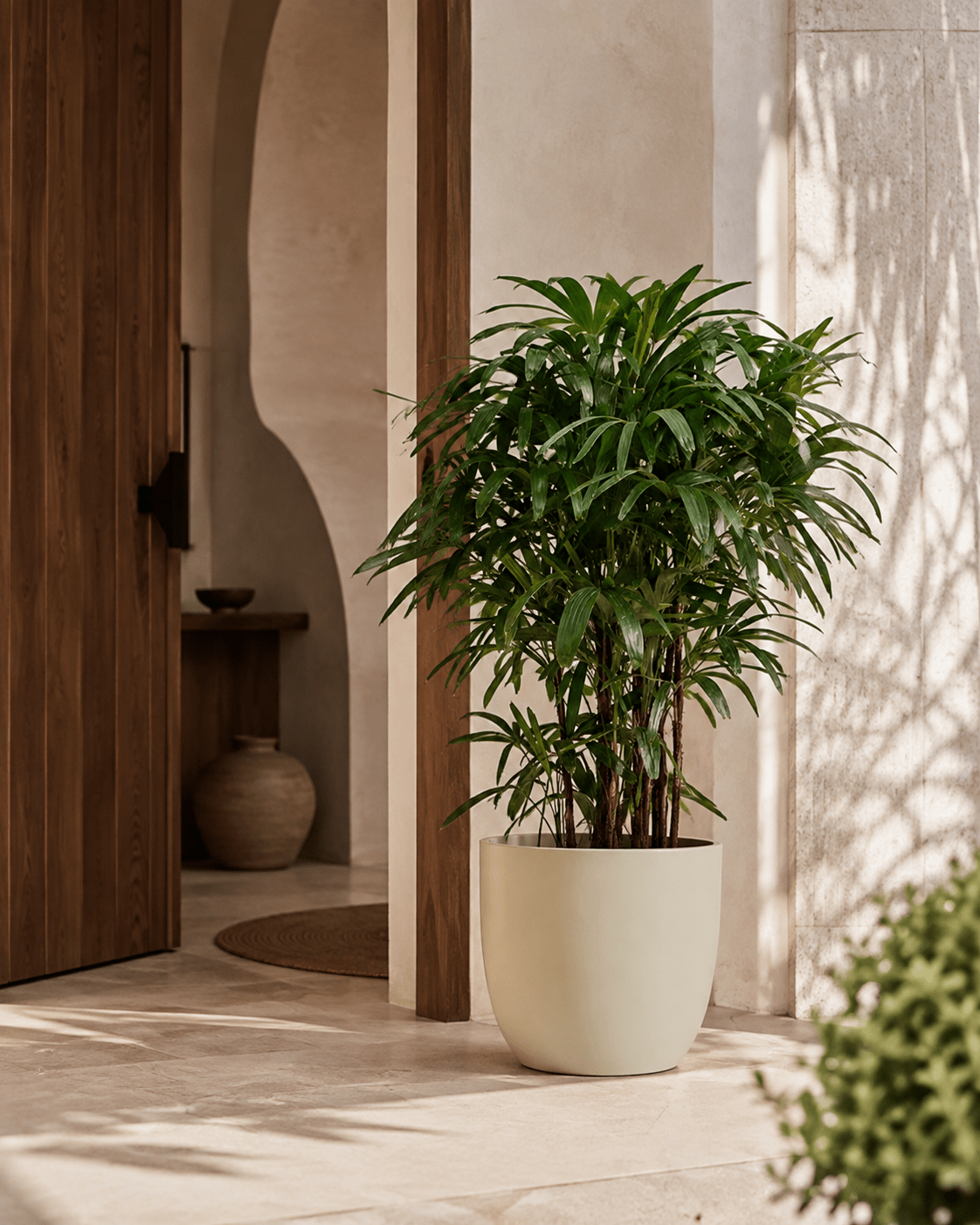 Elite (Finish - Textured White) - Folivana Store