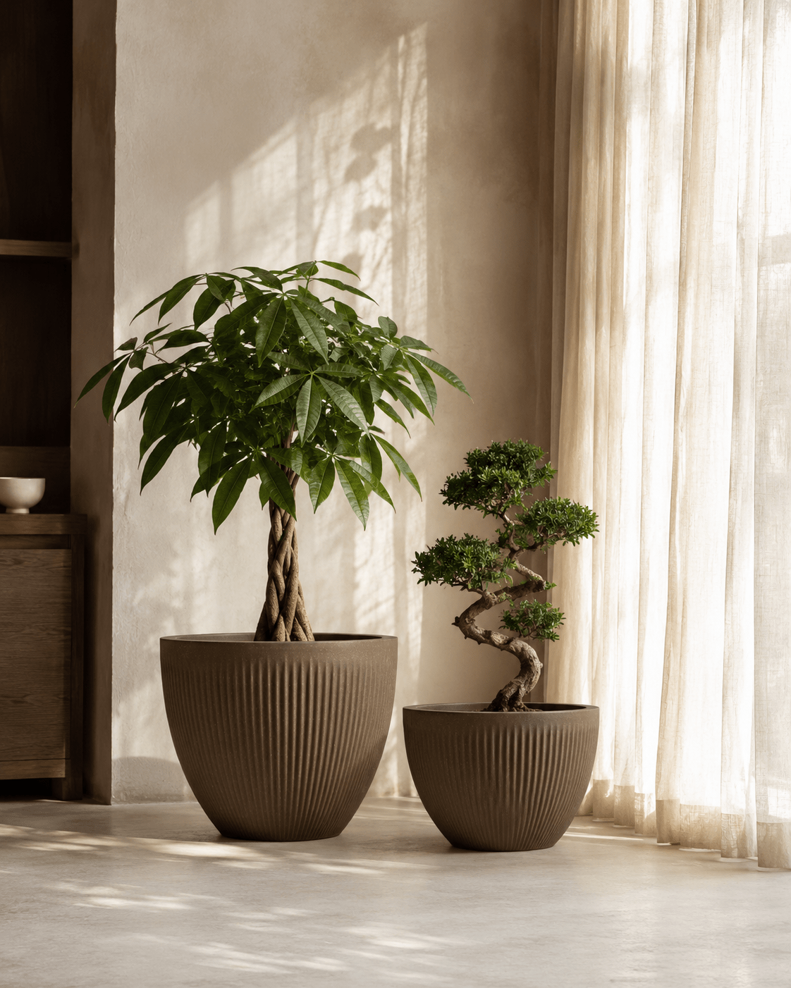 Fibreclay Aukland - Folivana Store