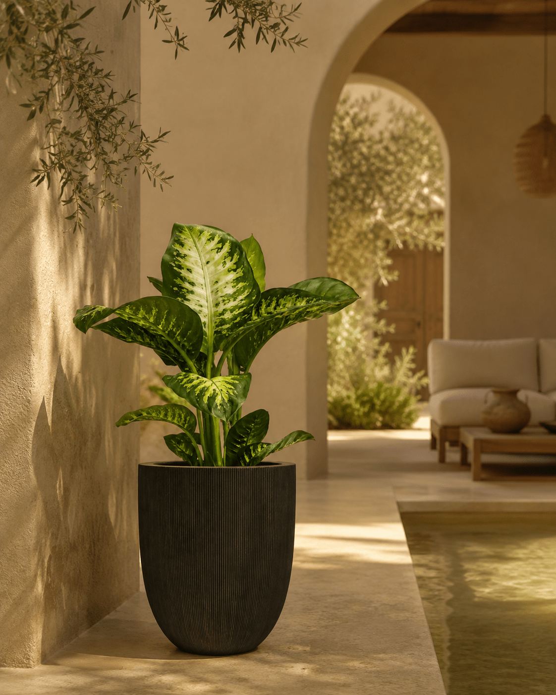 GD Tall Egg Pot Black - Folivana Store