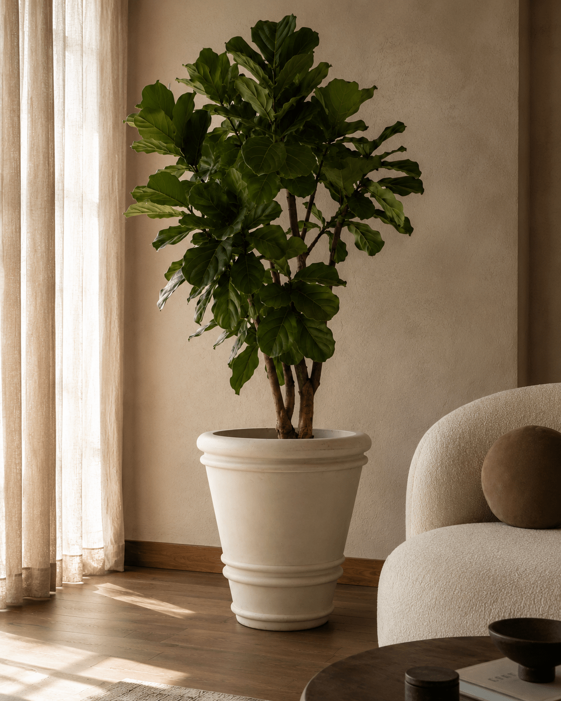 Goliath Designo Polystone - Folivana Store