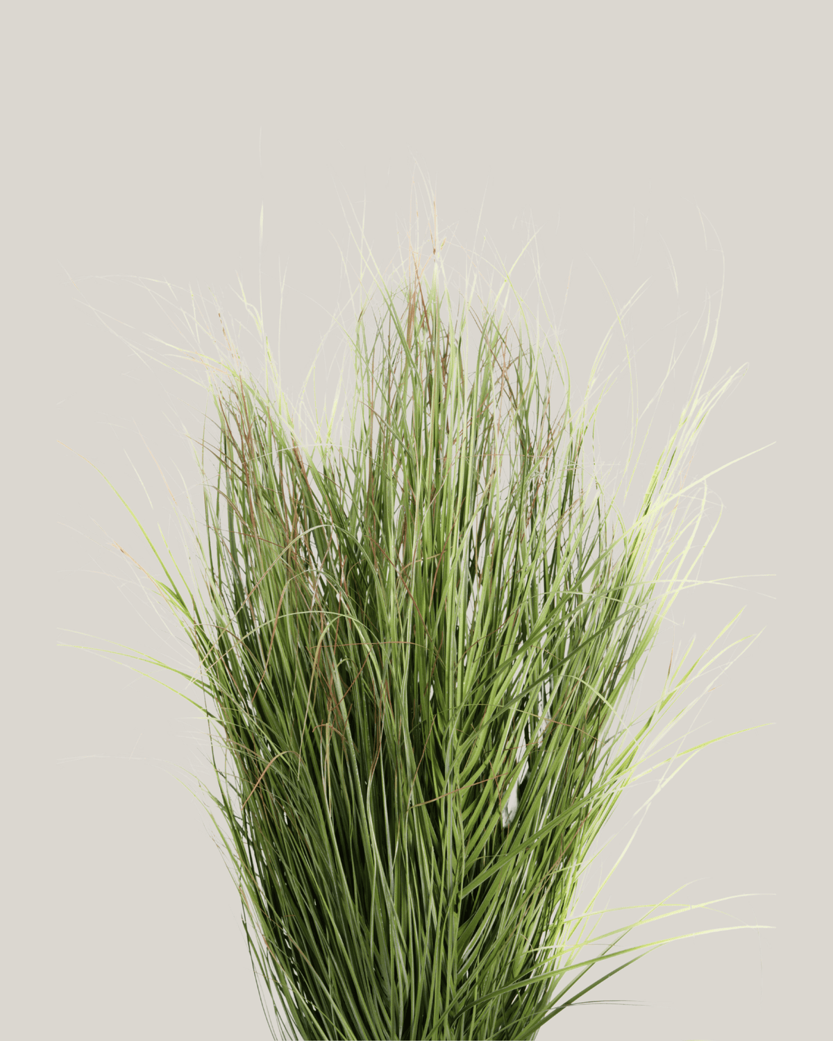 Grass PVC Green - Folivana Store