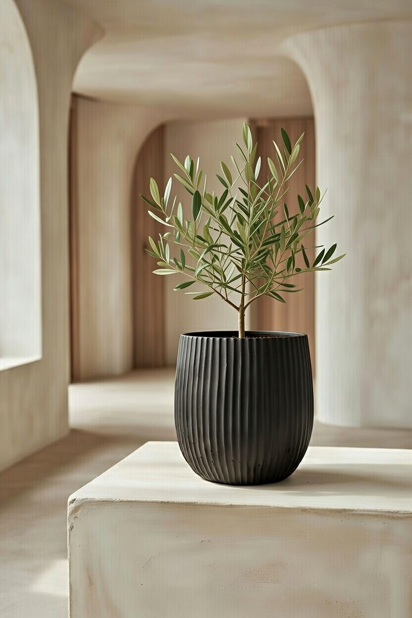 Groove Planter