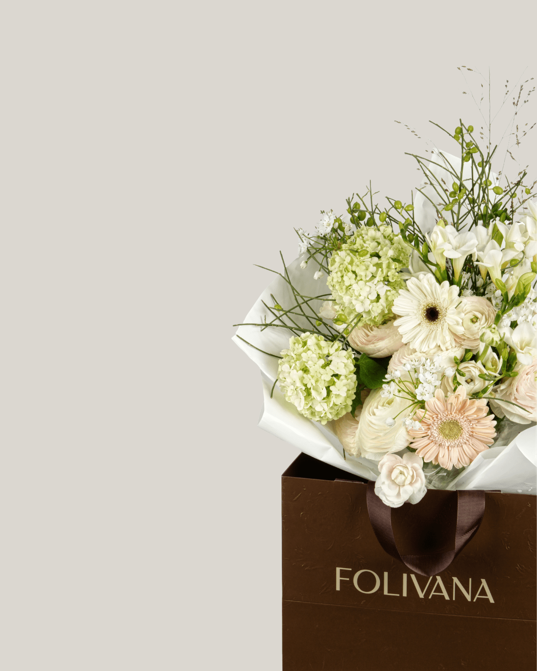 Ivory Elegance - Folivana Store