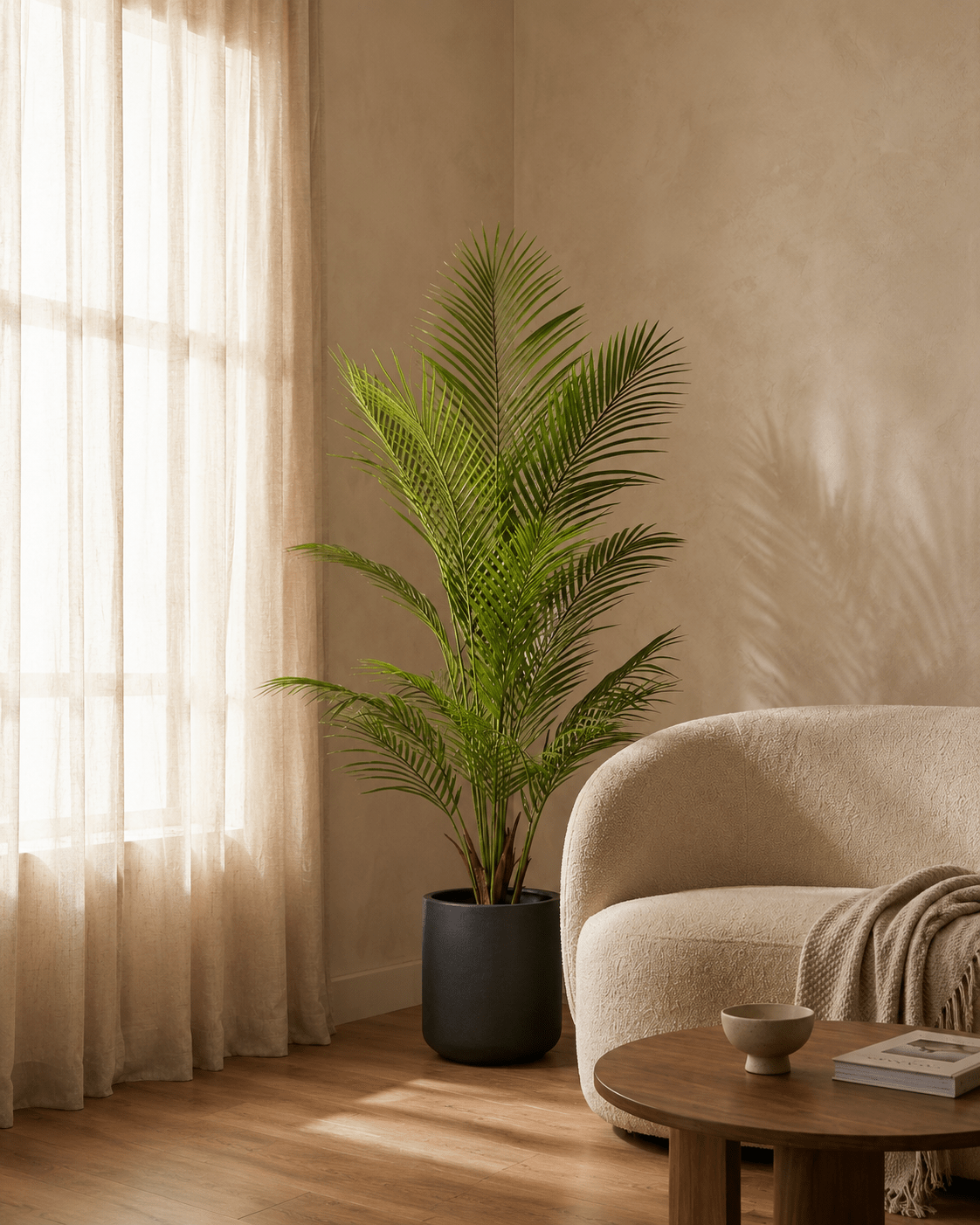 Palm Areca HI - Folivana Store