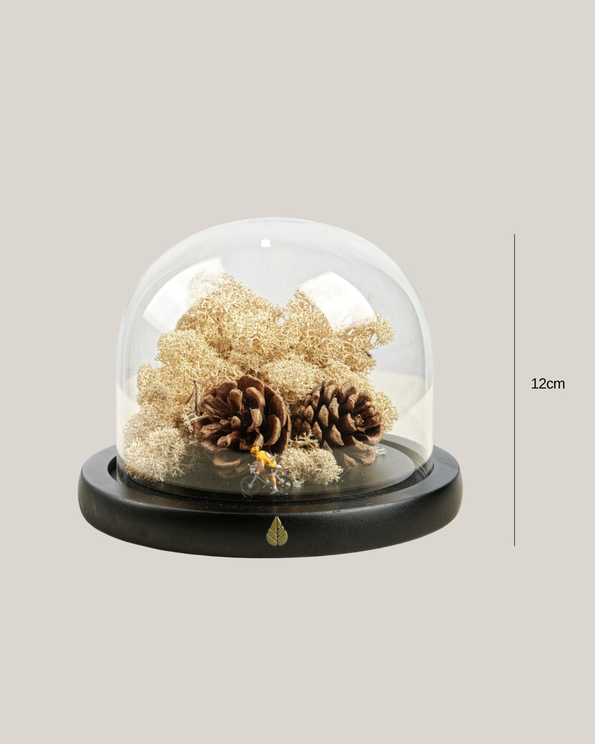 Quiet Journey - Folivana Store