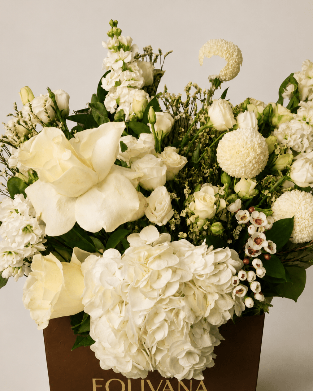 Sage & Snowflake - Folivana Store