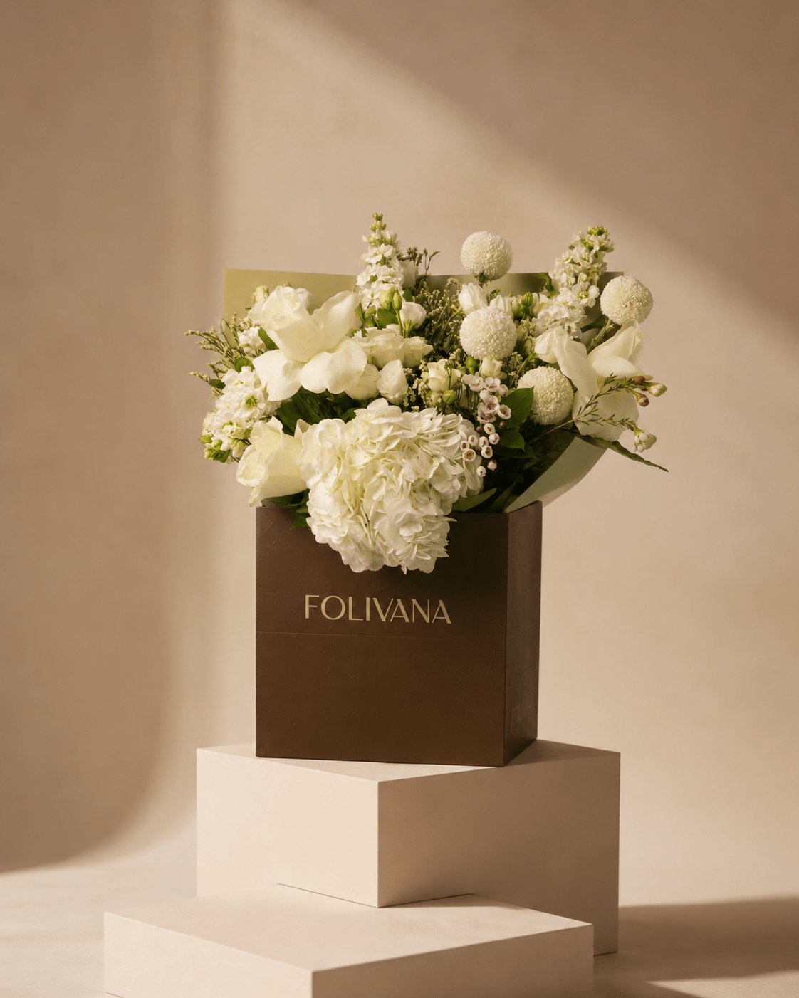 Sage & Snowflake - Folivana Store