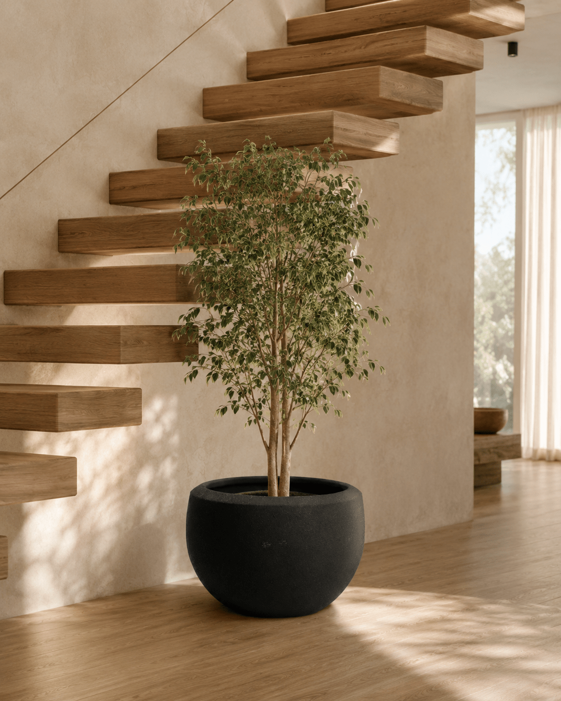 Sol & Minisol - Folivana Store