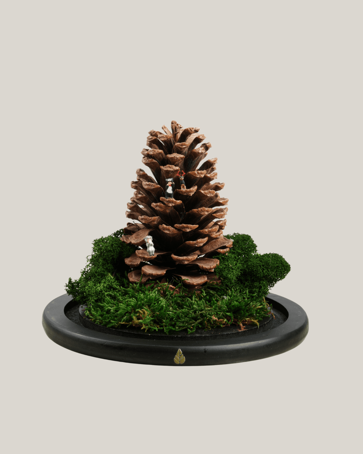 The Woody Ascent - Folivana Store