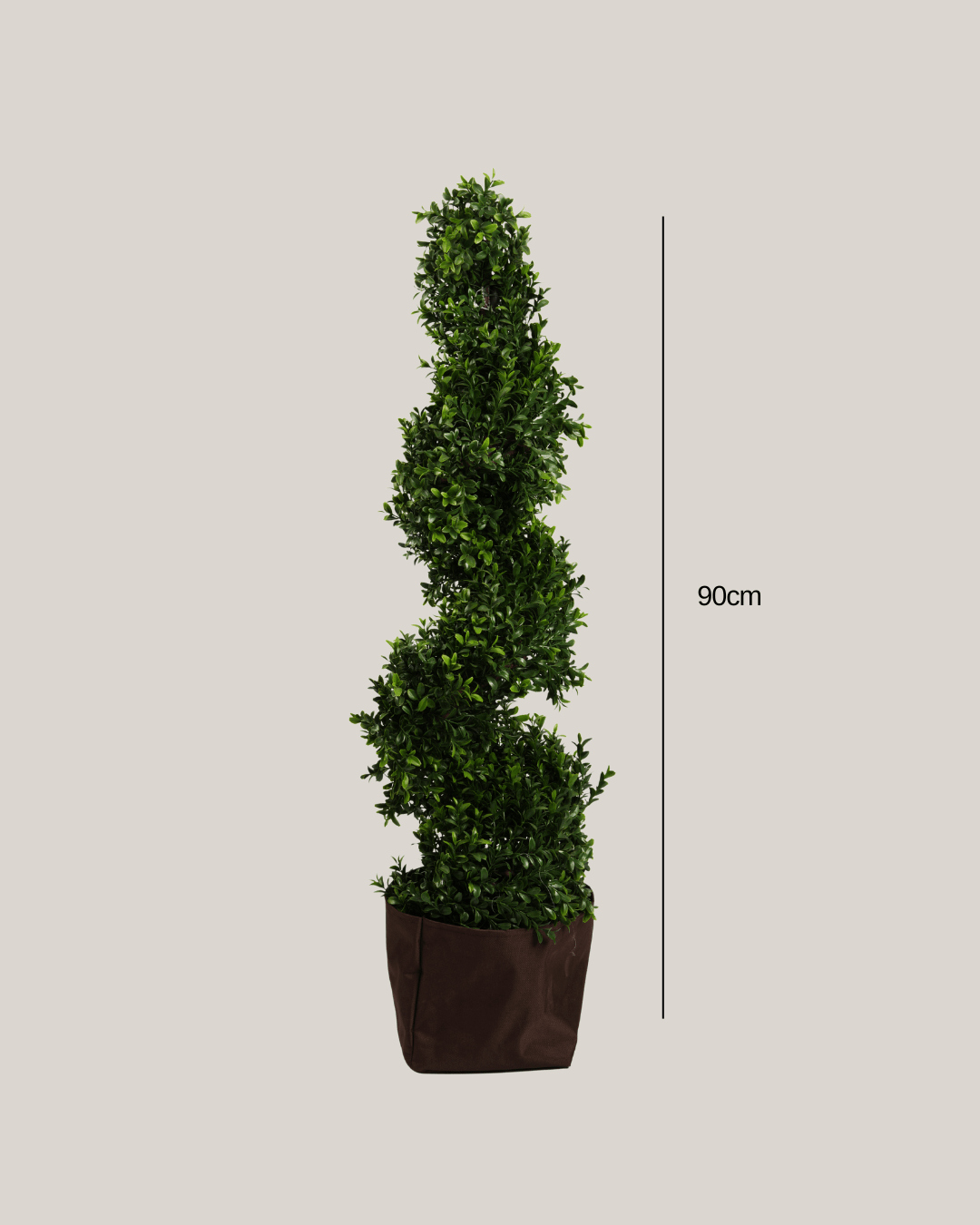 Topiary Buxus Spiral - Folivana Store