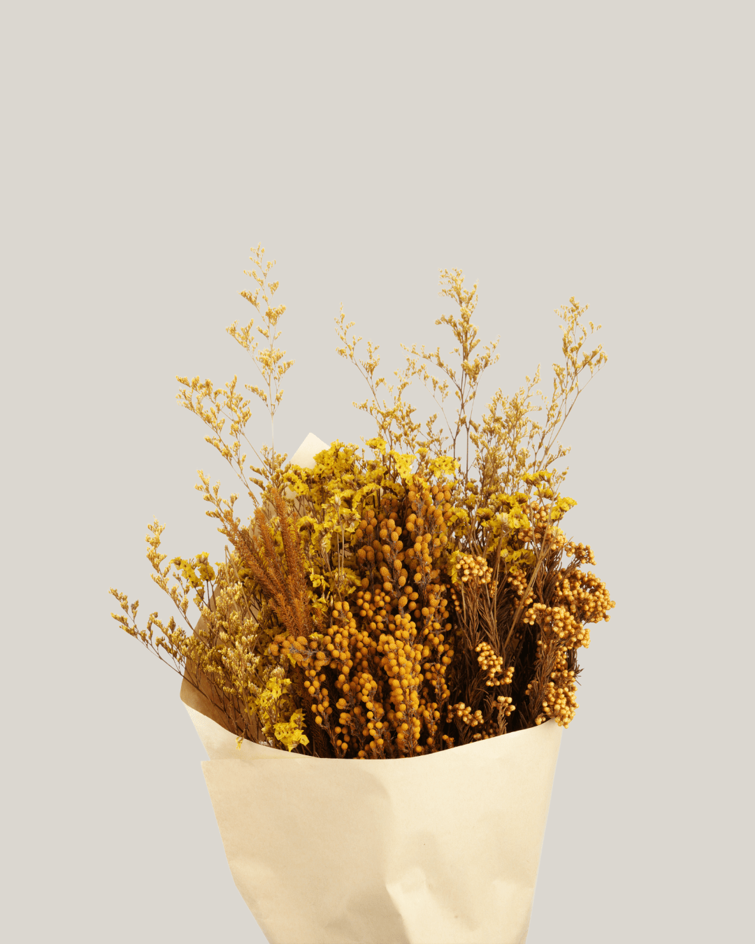 Wild Earth - Folivana Store