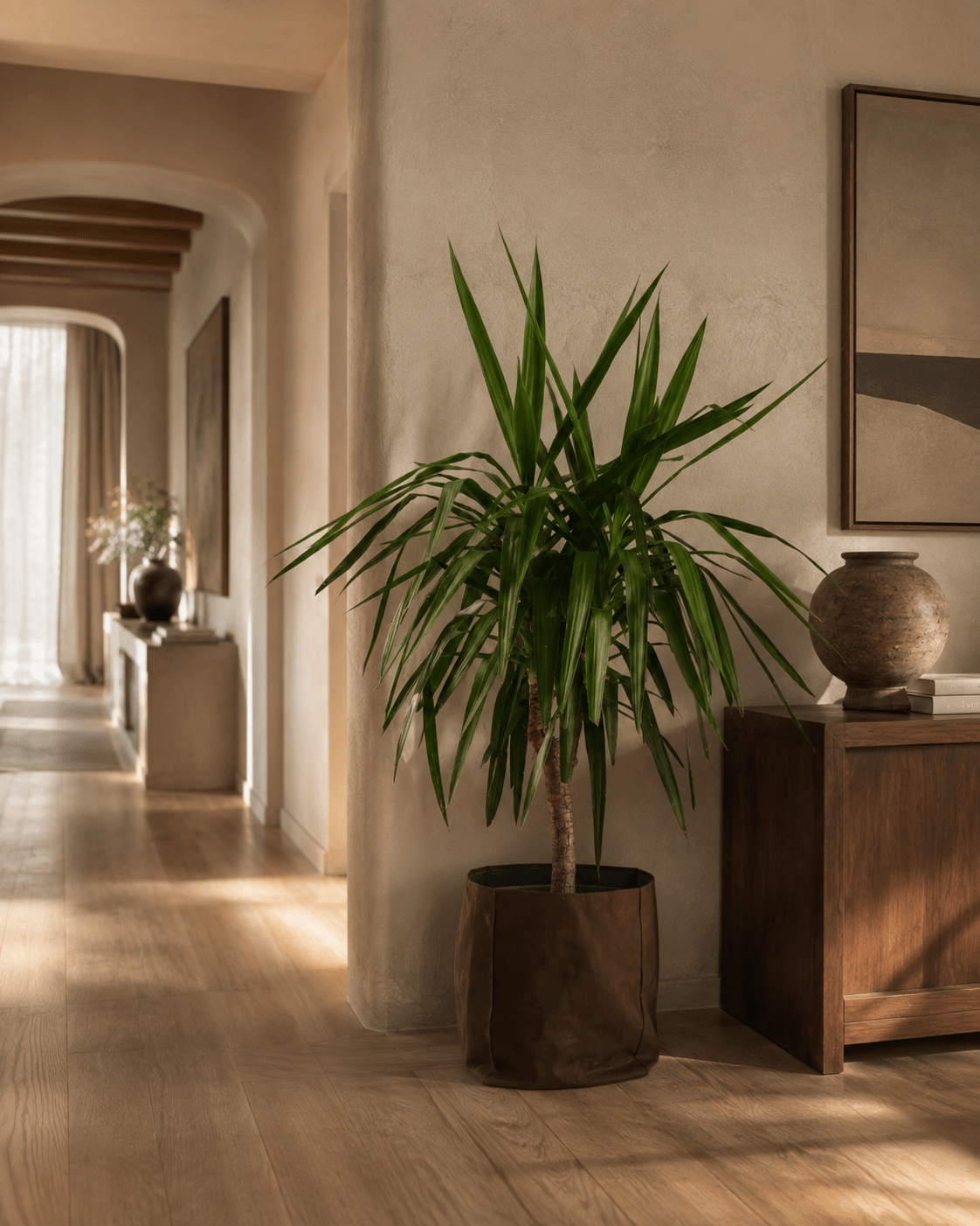 Yucca Elephantipes Stem - Folivana Store